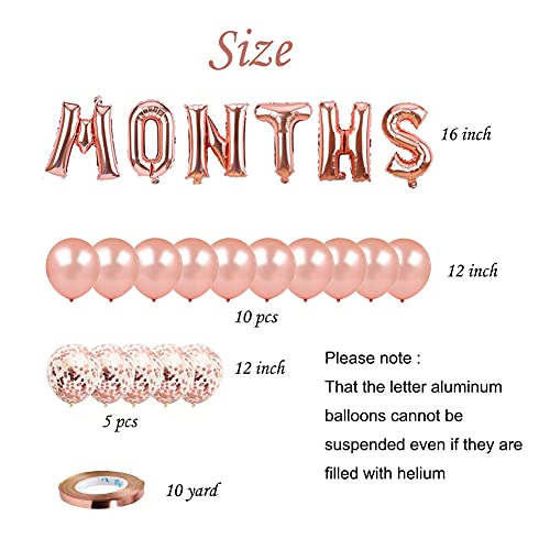Image of Donut Theme 6 Months Birthday Party Decorations Half Year Birthday Suppliers Set for Girls 1 /2 Year Birthday Party 6 Months Balloons, Donut Balloons One Half Year Birthday Baby Shower Party (Donut)