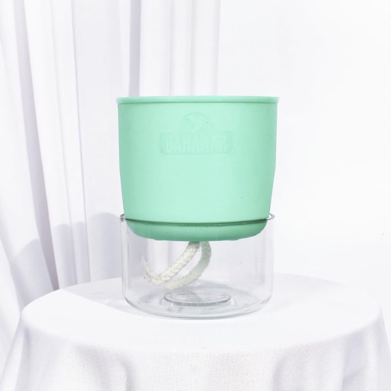 BAHAAAR Self Watering Plastic pots for Plants, Small pots for Plants | self Watering Planter | Best Flower Pot | Gamle | Indoor Plants Pot - Perfect for Home Decor, Office, Table top (B0D99QX3QB) Amazon Price History, Amazon Price Tracker