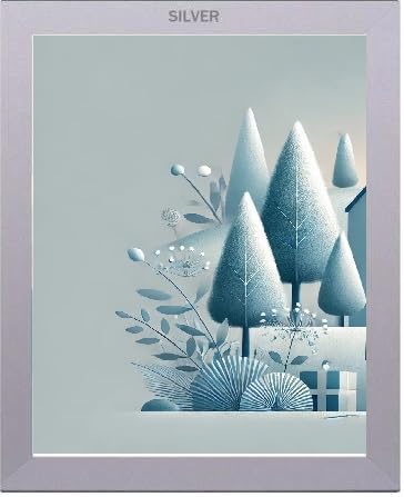 White, Black, Oak, Silver Photo, Picture Frame (Modern, Silver, 17x12 Inch)