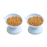 Wkldjf Leichter, Rutschfester Hundenapf, tragbar, spülmaschinenfest, Haustierreise für Strandwanderungen, Hund zum Wandern