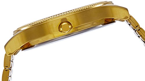 Image of Titan Quartz Analog With Day & Date Silver Dial Gold Stainless Steel Strap Watch for Men - NT1650YM03