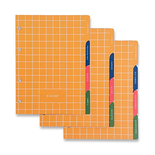 Cicero Agenda Planner Argolado 2023 Oceano Semanal Notas A5 Profundo, Modelo: 0272, Cor: Colorido