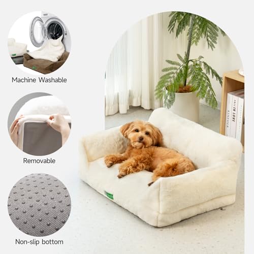 MEWOOFUN Katzen Sofa Katzenbett für Wohnungskatzen, Niedlich Kätzchen Bett Haustiersofa mit abnehmbarem, waschbarem Bezug und Rutschfester Unterseite für kleine Hunde (Weiß, M)