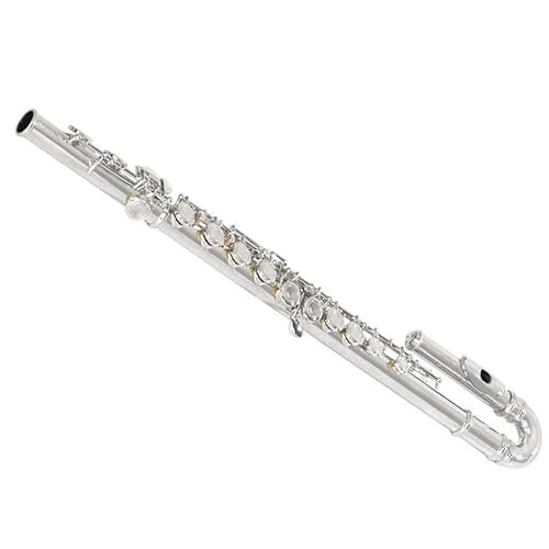 ⃁bLt[g 16 CǃG{pt[g EJjYt