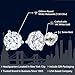 Solid 14K White Gold Forever Classic Moissanite from Charles & Colvard Stud Earrings For Women Men | 1.60 Cttw | Round 6MM