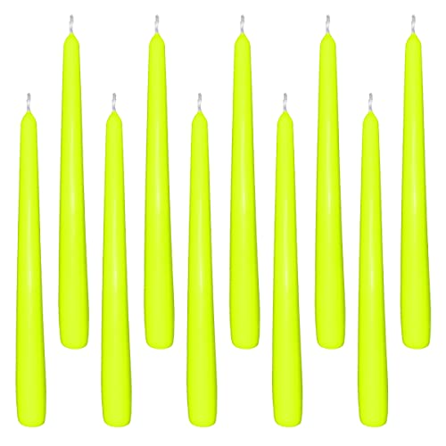 10 Spitzkerzen limette 23,5 x 245 mm