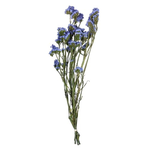 Fleur statice bleu clair bouquet de fleurs séchées naturelles de 49,5 cm