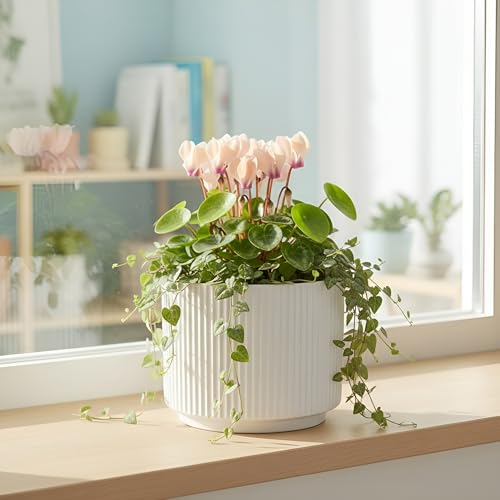 Image of Xtore Striataform Ceramic Ribbed Planter | Contemporary Round Flower Pot for Home, Bedroom, Study Table & Living Room Decor - (White, 1 Piece, Planter ONLY)