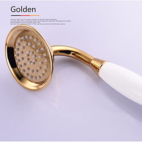 Pommeau de douche en laiton doré chic avec support et flexible assortis
