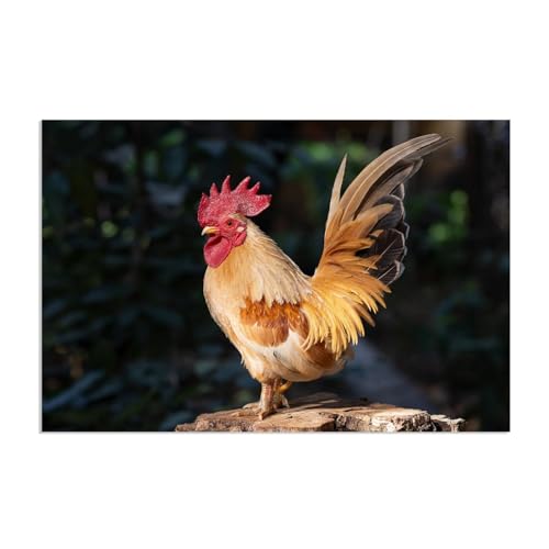 Tableau coq et poule pour habiller un grand mur vide toile lumineuse MOBYAT 90x60cm