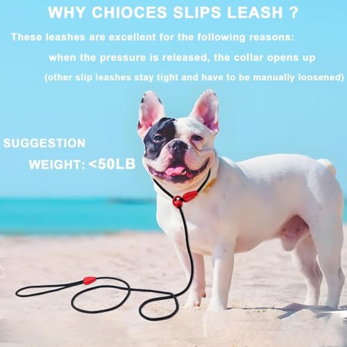 Image of 2 Pack Slip Leads for Dogs 6FT Slip Leash for Dogs Dog Lead Strong Nylon Dog Training Leash No Pull Rope Dog Leash Dog Leashes for Small Medium Dogs(Black+Black)