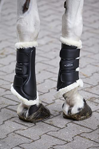 Botas de Caballo Cerradas Norton XTR Mouton Synthétique EKKIA hípica