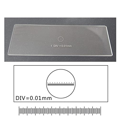 ώ@ wIZK̂߂̌ZKXXCh(MS-1-1)