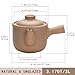 Unglazed Earthenware Chinese Medicine Pots, Natural Terracotta Ceramic Casserole Bean Pot with Lids, Clay Pot for Soup Cooking(3.17QT/3L)