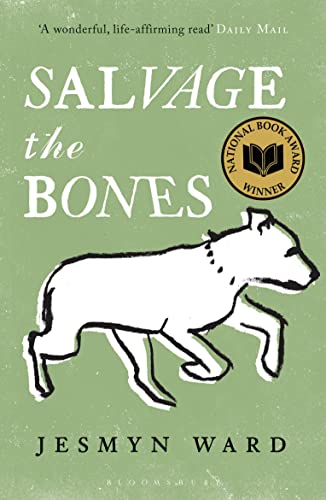 Salvage the Bones view 2