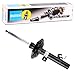 Bilstein 22 – 260550 Damper Car