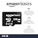 Amazon Basics Micro SDXC Memory Card with Full Size Adapter, A2, U3, Read Speed up to 100 MB/s, 256 GB, Black