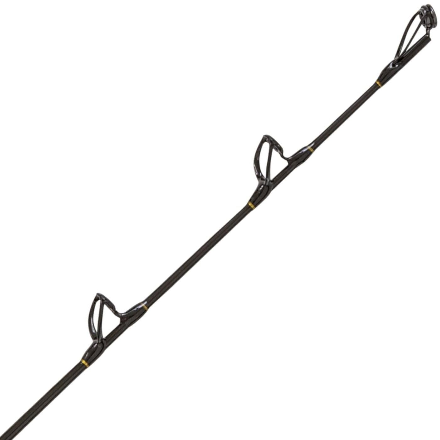 Black Cat Caña de pescar para siluros (2,85 m, 200 g)