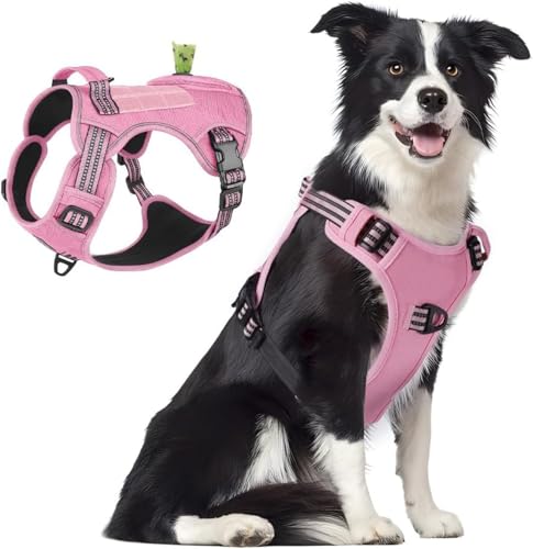  n[lX Ԕˌpn[lX ߉\ ^E^E^Ή HcEČɓKUpn[lX U p y S  h~ hbO PȒPE \tg p SȂ h~ Ԕ Pp ([Y