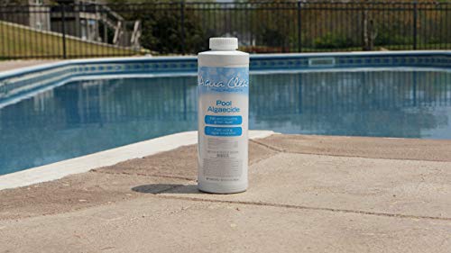 Aqua Clear 40032ACL Pool Products Algaecide 32 Oz. thumb #4
