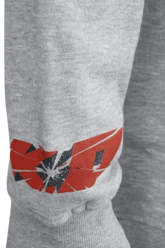 TEKKEN Sweat-Shirt à Capuche Homme Gris Taille S Coupe Regular