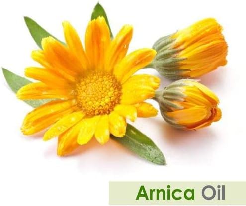 Image of Arnica Oil (Arnica Montana) 30ml | 100% Pure & Natural Carrier Oil | for Massage, Muscle Relaxation, Skin Care & Hair Care | Lightweight & Non-Greasy