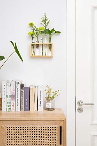 image for Mkono Wall Hanging Plant Propagation Station 5 Tubes with Wooden Stand