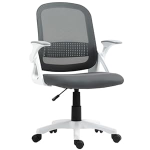 HOMCOM Bürostuhl Ergonomischer Schreibtischstuhl mit aufklappbarer Armlehne, Lendenwirbelstütze Höhenverstellbarer Drehstuhl mit Wippfunktion, Netzbespannung, Computerstuhl für Homeoffice Grau
