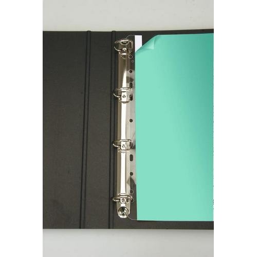 Pelltech295mm File Strips (Pack of 200)