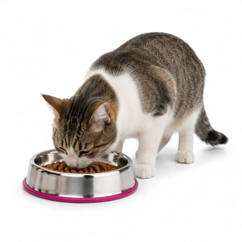 Image of Pet Empire Stainless Steel Cat Silicone Base Bowl for Cats & Puppies | Bowl for Water and Food (200 ML)