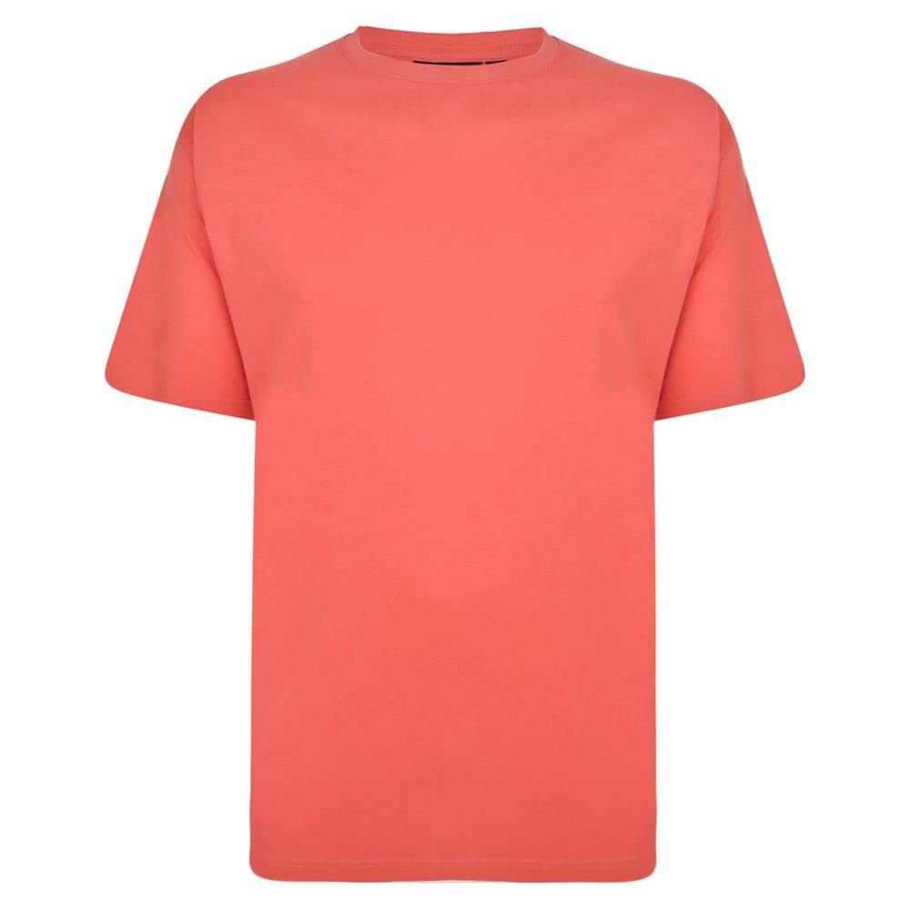 Espionage Men's Plus Size Plain T-Shirt (T015) in Spruce Green 5XL