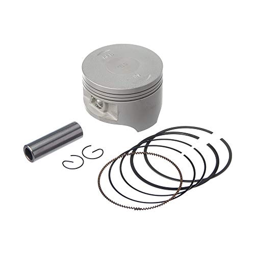 PISTAO KIT C/ANEL RIK PREMIUM CRF 230 1.00