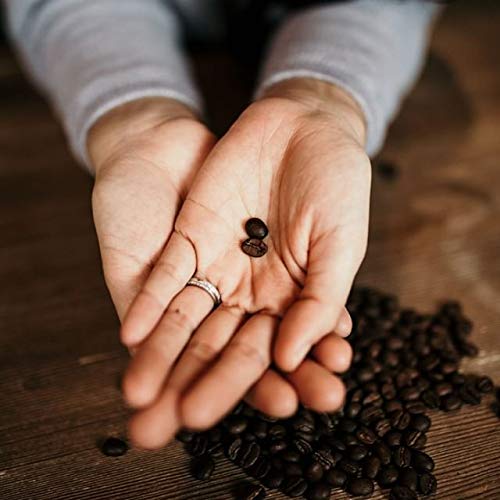 Café en Grano Ethiopian Guji Tostado Ligero-Medio 3x12oz miniatura 6