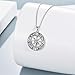 ONEFINITY Compass Necklace Sterling Silver Celtic Knot Necklace Graduation Friendship Talisman Travel Necklace Inspirational Graduation Gift Jewelry Gifts for Women