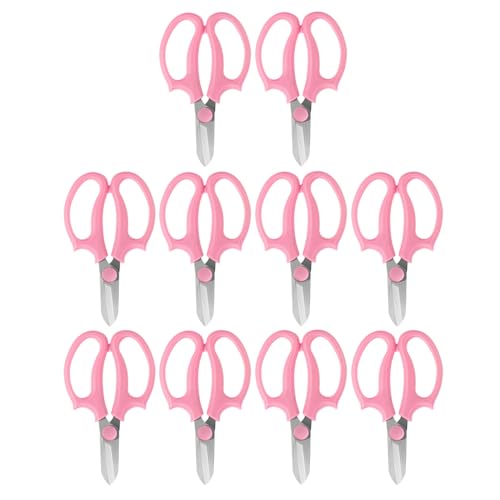 Forbici per fiori da giardino Cesoie per fiori in acciaio inossidabile Forbici per piante da taglio Cesoie multiuso Attrezzi da giardinaggio Cesoie da potatura per giardinaggio (10 pezzi)