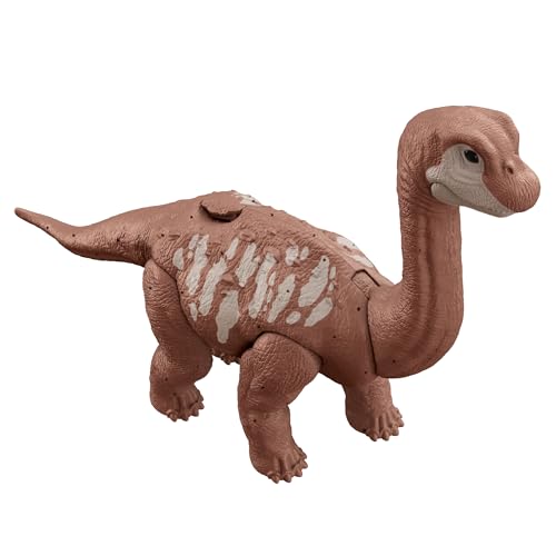 Photo complémentaire