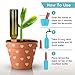 10 Pieces of Plant Watering Piles, Plant Watering Devices,Plant Water Seepage Devices, Clay self Watering Nails, Used for Automatic Watering Systems for Indoor and Outdoor Plants in Vacation Homes