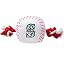 Seattle Mariners