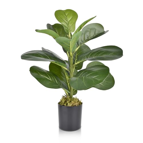 Encuentra plantas artificiales en línea marca occulo, en la categoría de jardín. Plantas artificiales en línea Marca OCCULO 2