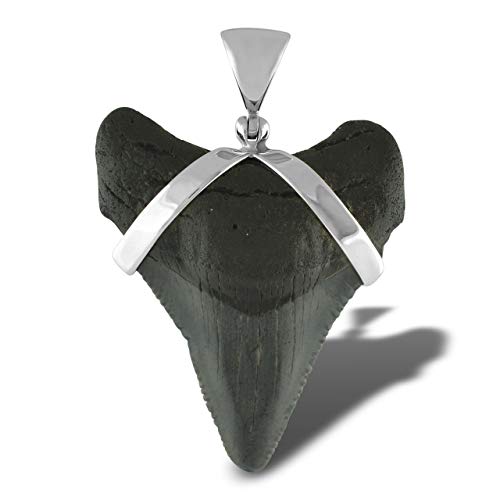 Starborn Fossil Shark Tooth Pendant In Sterling Silver - Lg #TOP3