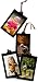 Set of 4 Extra Hanging Frames for Family Tree Size: 4"x6"