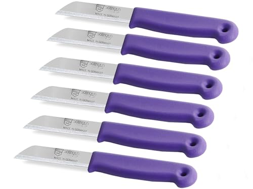 Küchenmesser Messer Set aus Solingen Gemüsemesser Kleines Obstmesser Made in Germany Schälmesser Allzweckmesser mit Scharfer und Präziser Klinge aus rostfreiem Edelstahl (6er Set, Kurz)