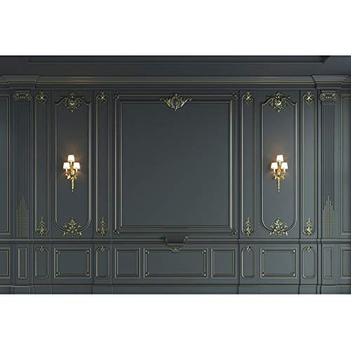 Haoyiyi 10x8ft Interior Wall Backdrop Indoor Empty Room Baroque Black