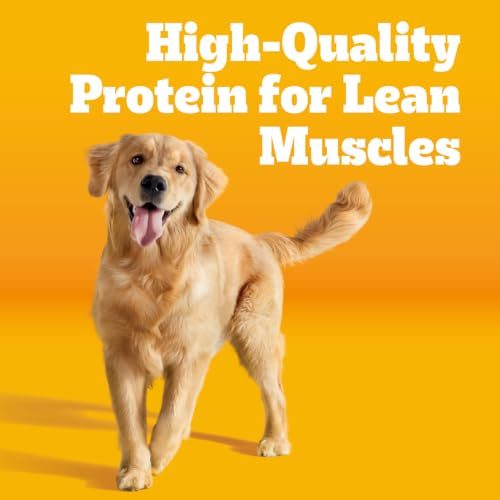 Image of Pedigree Adult Dry Dog Food, Complete Nutrition, Roasted Chicken & Vegetable Flavor, 30 lb. Bag