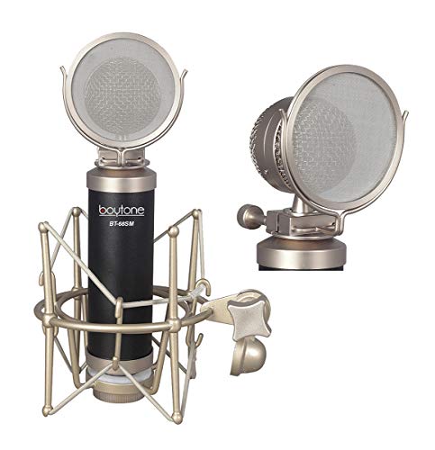 Boytone, Professional Studio Recording Podcast Condenser, Metal Shock Mount, Anti-Wind Cap (BT-68SM)