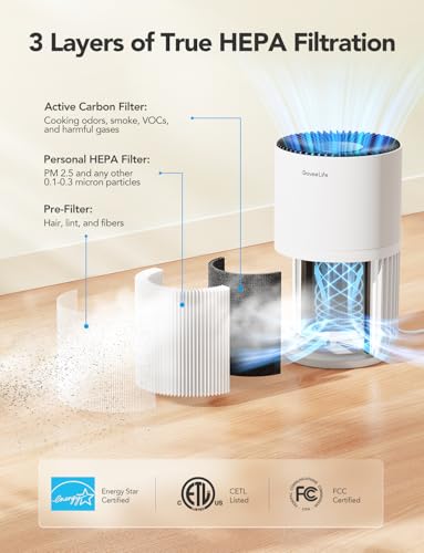 GoveeLife Smart Mini Air Purifier