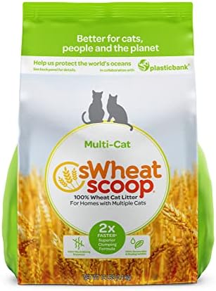 sWheat Scoop Wheat-Based Natural Cat Litter, Multi-Cat, 12 Pound Bag