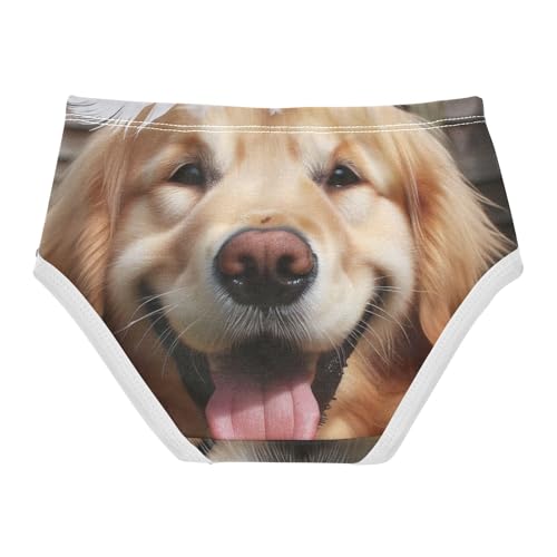 Cute Dog Feather Toddler Underwear Custom 2t Cotton Little Girl Panties Animals Briefs Underpants2