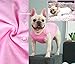 Sychien Dog Pink White Shirts,Soft Blank Cotton Tee-Shirt for Boy Girl Dogs,Plain XSmall Cat Clothes,XS Pink White