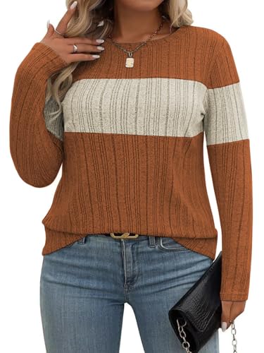 VISLILY Plus-Size-Womens-Tops Casual Color Block Long Sleeve Shirts Lightweight Knit Pullover Sweaters Trendy Tunics Blouses